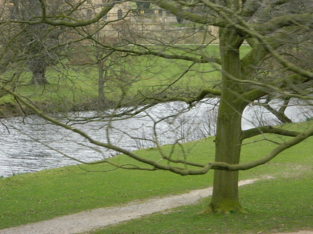 River Derwent. You can just see Chatsworth House through the trees. 