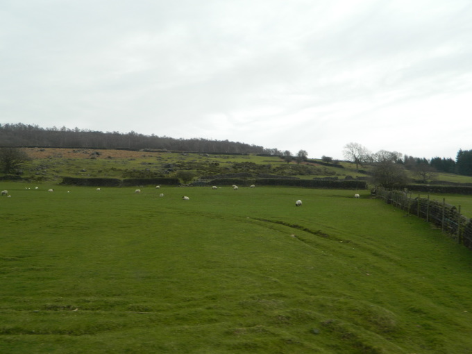 Sheep dotted hills of Derbyshire