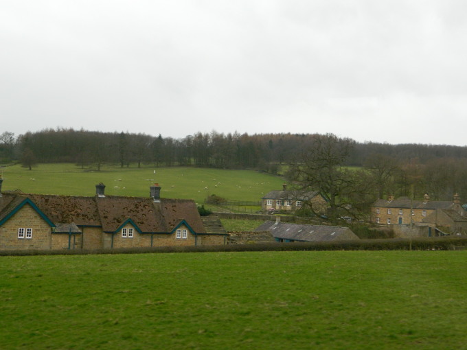 Rolling, wooded hills of Derbyshire (sheep included)