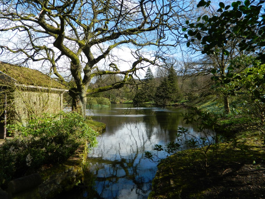 The grounds of Lyme Park 