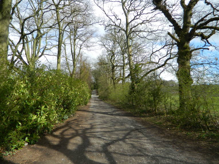 Walk in the English Countryside near Lyme Park 