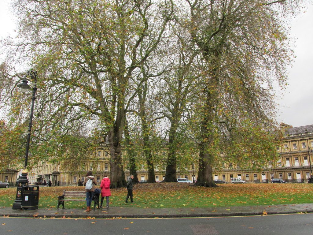 The park in the middle of The Circus, the circular terraced homes designed by John Wood.