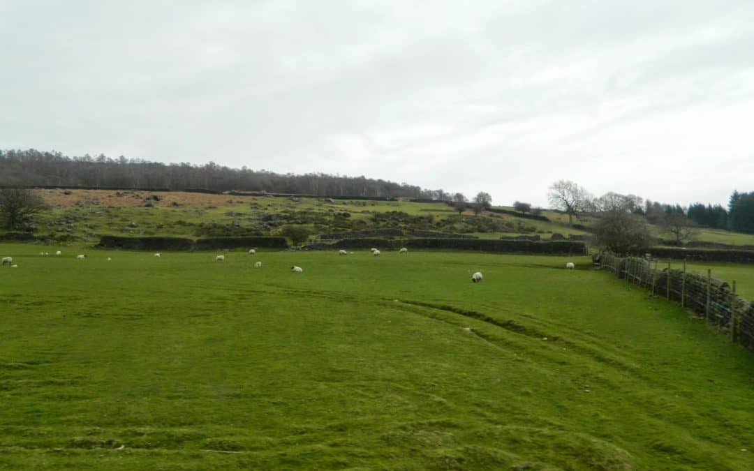 Photo Research Journal: English Countryside